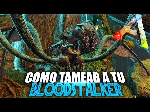COMO TAMEAR A TU BLOODSTALKER | Guia Español | Ark: Survival Evolved