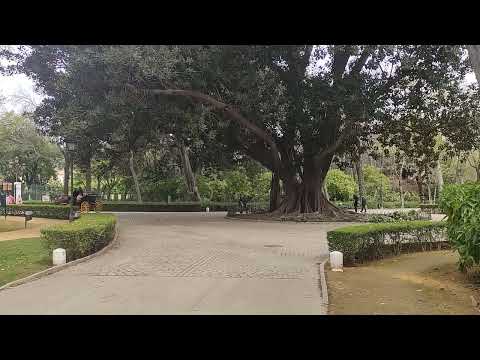 La tranquilidad del parque de Maria Luisa en Sevilla II 😁😍