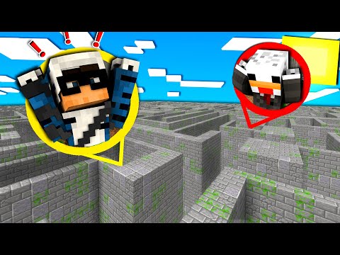 QUESTO LABIRINTO CAMBIA OGNI 10 SECONDI - MINECRAFT ITA