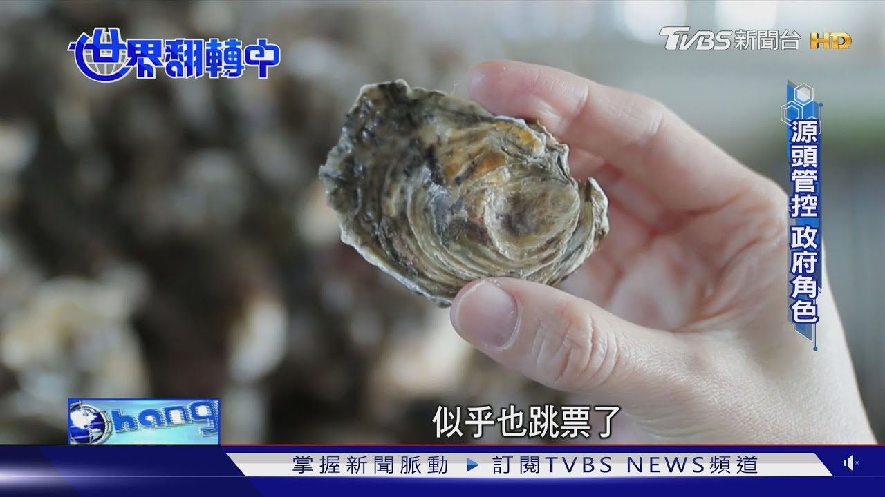 回收蚵殼再循環 變身塑膠家具、拖鞋