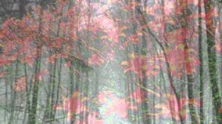 The Strawbs / &quot;The Winter Long&quot; from Hero and Heroine (1974) - Video &amp; photos by Chris Burke