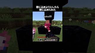 閉じ込めようとしたら閉じ込められた #minecraft