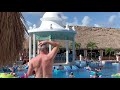 Greensky Bluegrass Poolside I M Still Here 2021