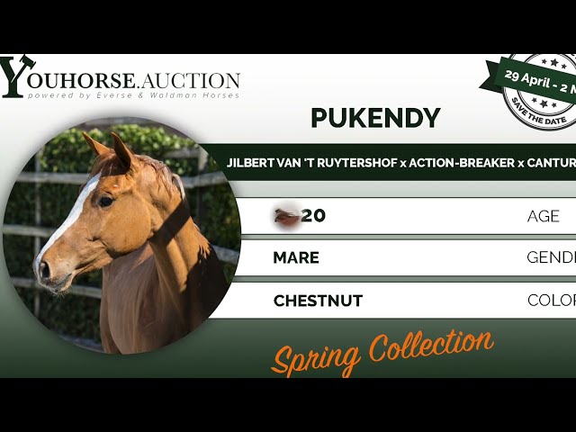 Pukendy
