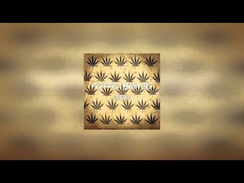 Curt Powell - Porro Bonito