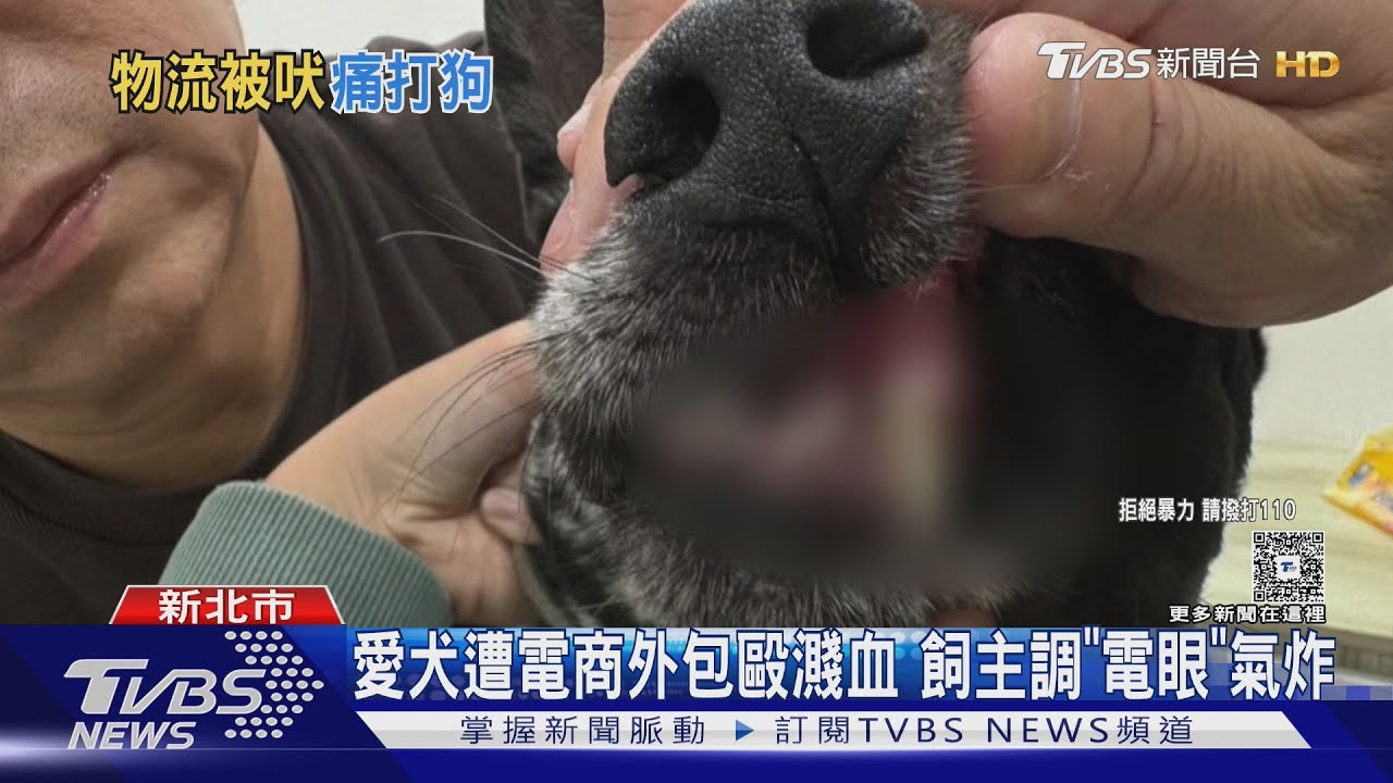 電商平台外包員不滿吠叫對狗動粗 「牙斷嘴流血」飼主心碎提告