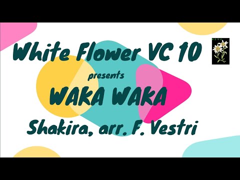 White Flower VC 10 - Waka Waka