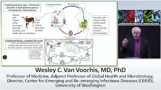Structure-Guided Drug Design for Cryptosporidiosis