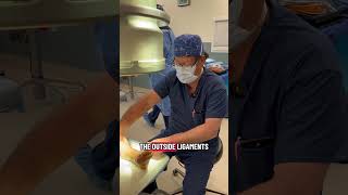 Progressive Spine & Orthopaedics