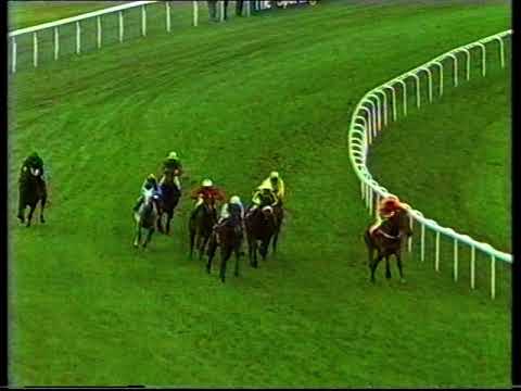 1990 Kentucky Handicap