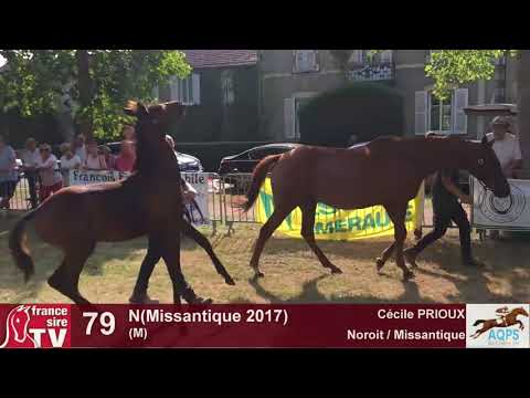 Decize 2017 : lot 79 N(Missantique 2017)