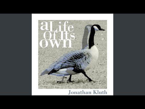 A Life of Its Own (Radio Edit)