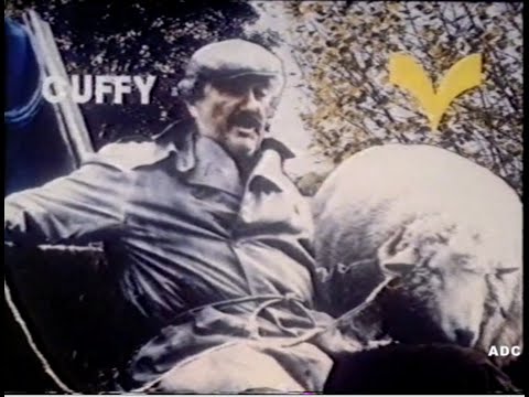 Yorkshire TV trailer, adverts & link 13th March 1983