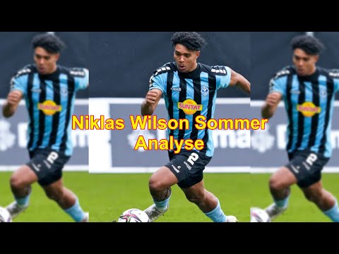 Analyse zu Niklas Wilson Sommer /Außen Verteidiger bei SV Waldhof Mannheim