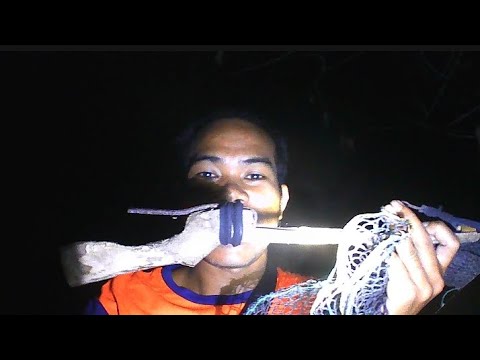 Pangingilaw ng mga iba't ibang mga isda