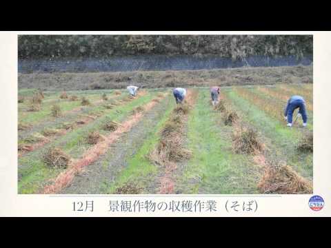 動画サムネイル