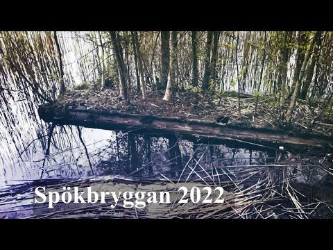 SPÖKBRYGGAN vid den gamla badplatsen - ÖSTRA sidan av SKÄRSJÖN i RONNEBY - 2022-05-08 - Blekinge