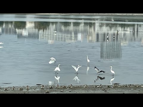 Neighborhood | Minami- Funabashi | Japan