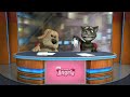Best Disney Cartoons Pluto Figaro Cat Nap Pluto New Cartoon