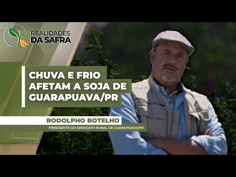 Chuva e frio já vinham afetando soja de Guarapuava/PR e final de semana trouxe ainda mais..