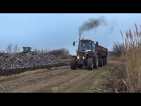Sugar Beet Transport - 14x John Deere Tractors + MTZ 1025.2 + CLAAS + CASE (Cukorrépa szállítás)