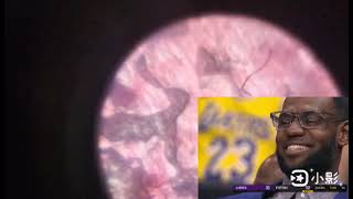 霈涵 顯微鏡@林彥汝-t1g