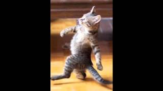 CAN YOU HUM A TUNE - L.A. CARNIVAL