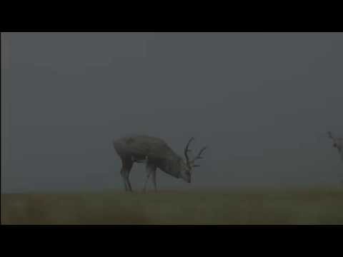 Tubas Składowski - "Bez konserwantów" videopromomix