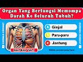 ️ Fun General Knowledge Quiz Game Test Your Brain Now