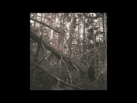 [FREE] SAGATH x KURT92 x VELIAL SQUAD x GIZMO x GHOSTEMANE x $UICIDEBOY$ Type Beat "Maniac"