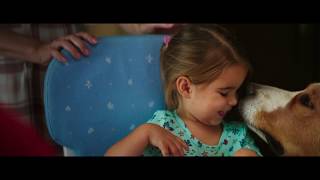 LA RAZÓN DE ESTAR CONTIGO: UN NUEVO VIAJE | En cines 16 de mayo