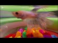 FILME DE AÇÃO Em Português 2025 FILME DE AÇÃO Filme Completo Dublado FILME DE AÇÃO HD