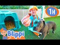 Blippi Learns About Animals Pets Blippi And Meekah Best Friend Adventures Educational Videos