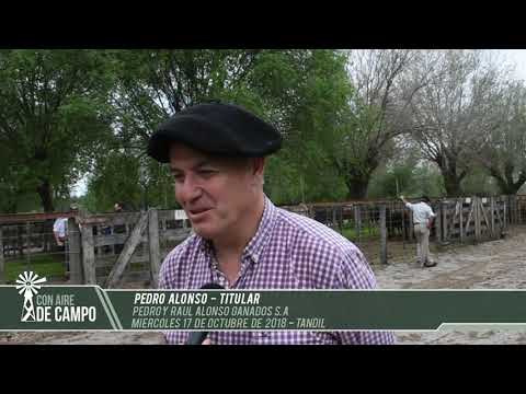Pedro Alonso - Pedro y Raúl Alonso Ganados S.A - Miércoles 17 de octubre de 2018 - Tandil
