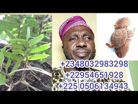 ASINA OLA TUTU TODAJU, +2348032983298, +22954651928, +225 0506134943