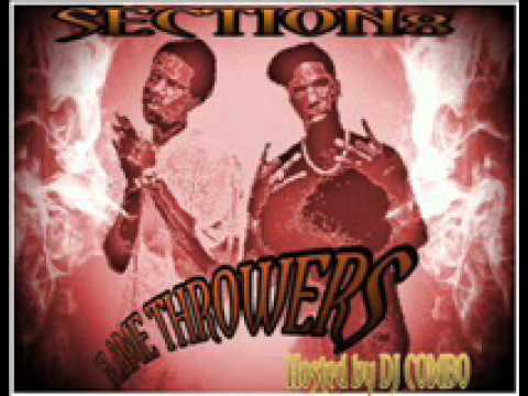 Section8-Do Da Willie B