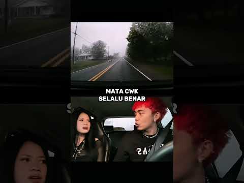 DASHCAM ANJING LEWAT #automobile #otomotif