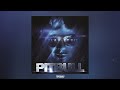 Pitbull - Shake Senora featuring T-Pain & Sean Paul
