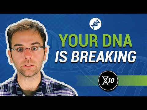 The Hallmarks of Aging: Genomic Instability | LifeXtenShow