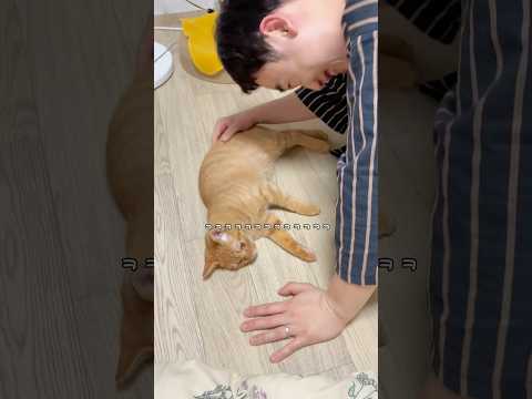 이렇게나 좋아할 줄 몰랐어ㅋㅋㅋㅋ