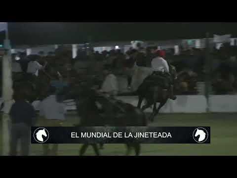 La Pampa - Tercera Noche clasificatoria en Intendente Alvear. 3/2/2024 Categoría Crina Limpia
