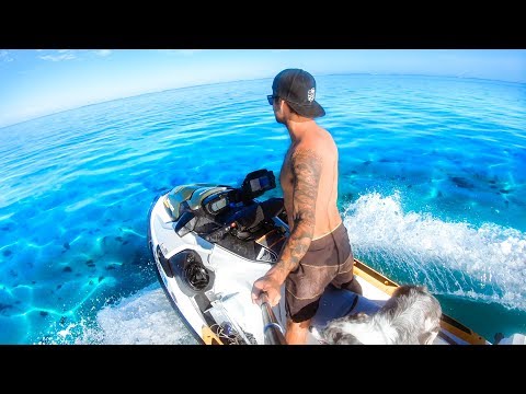 BEST REMOTE CAMPING TRIP EVER Living From The Ocean (Whale Carcass And Giant Sharks) - Ep 87