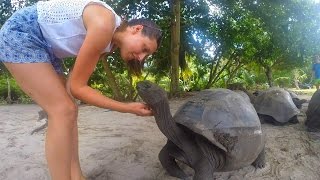 Giant Tortoises Everywhere! - a GoPro edit