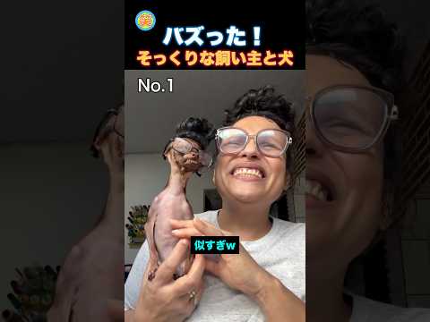 飼い主にそっくりな犬が可愛い！