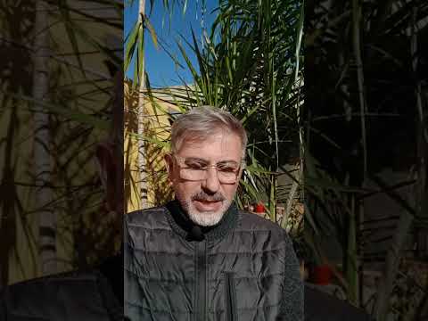 Evangelo de Jesuscristo con el Padre Fabian Esteban Oliva. 09/08/26
