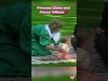 Princess Diana, William and Harry | Slipping through my fingers#love #usa #foryou