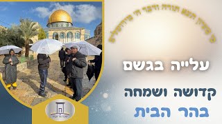 עלייה גשומה ושמחה • גילוי קסמו של הר הבית עם גשמי הברכה (ישיבת הר הבית) - התמונה מוצגת ישירות מתוך אתר האינטרנט יוטיוב. זכויות היוצרים בתמונה שייכות ליוצרה. קישור קרדיט למקור התוכן נמצא בתוך דף הסרטון עלייה גשומה ושמחה • גילוי קסמו של הר הבית עם גשמי הברכה (ישיבת הר הבית) - התמונה מוצגת ישירות מתוך אתר האינטרנט יוטיוב. זכויות היוצרים בתמונה שייכות ליוצרה. קישור קרדיט למקור התוכן נמצא בתוך דף הסרטון