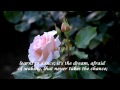 The Rose ~ Bette Midler (HD) with lyrics (HQ Audio)