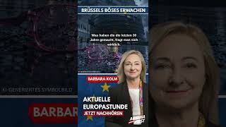 Barbara Kolm übt scharfe Kritik am wirtschaftspolitischen Kurs der Europäischen Union.