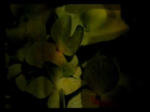 Cortney Tidwell - Son and Moon